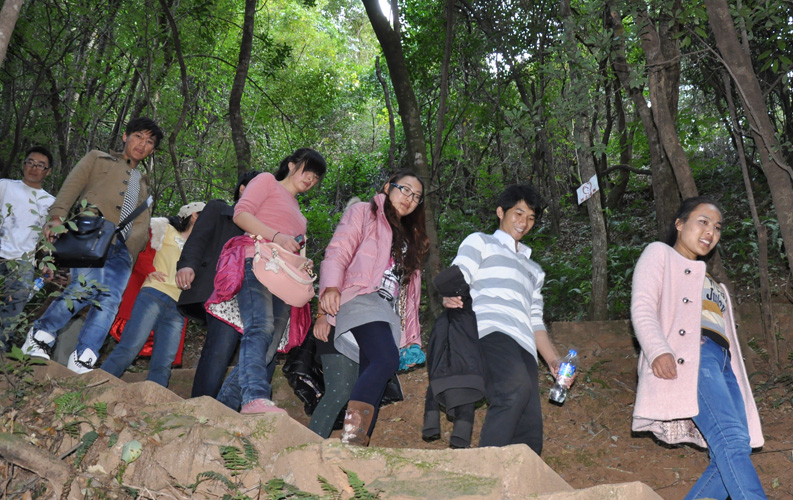 青龙峡位于昆明西郊安宁市青龙镇滇中生态大峡谷中，景区有保存较为完好的植物群落，遮天蔽日的参天古木；有浪漫山花，野果飘香，还有清秀宁静的田园风光。河谷沿岸古柳成荫，几十里的云南樱花大道成为昆明郊游靓丽的风景线。景区中溪水潺潺，千姿百态、千奇百怪的蔓藤风光随处可见，号称“都市身旁的小九寨。